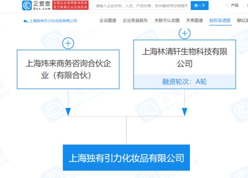 林清軒經(jīng)營公司拓展業(yè)務(wù)版圖，新設(shè)化妝品公司并布局電子商務(wù)與計算機(jī)軟硬件